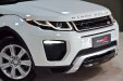 https://www.studiofmotors.com.br/admin/img/produto/680/210305134647/ALM_6040.jpg.jpg